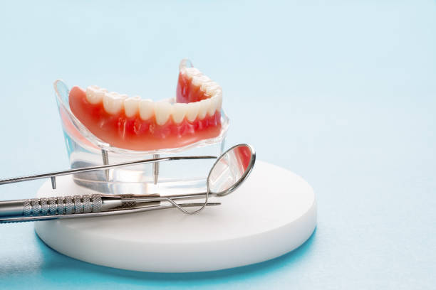 Chester Heights, PA Holistic Dental Care Services Company